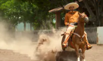 Vibrant Guadalajara