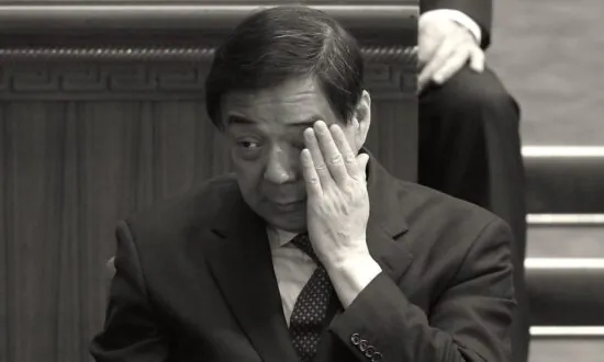 Son of Imprisoned Former Chinese Official Bo Xilai Found to Be Working for Canadian Company