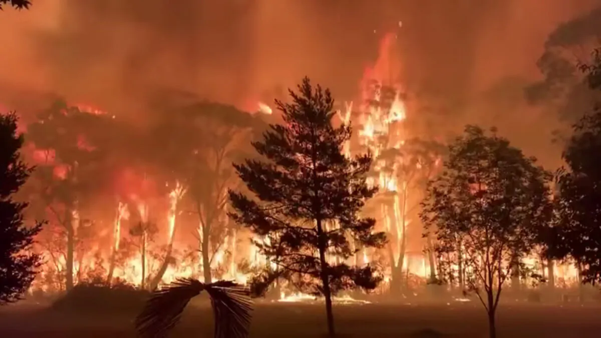 A fire blazes across bush as seen from Mount Tomah in New South Wales, Australia on Dec. 15, 2019. (NSW RFS/Terry Hills Brigade/via Reuters)