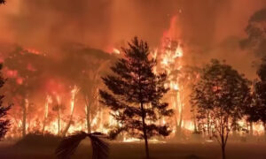 Australia's Most Populous State Declares New State of Emergency