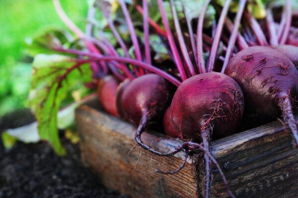 10 Evidence-Based Health Benefits of Beets