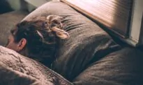 Good Sleep Patterns Can Offset Heart Disease or Stroke, Despite Genetic Susceptibility