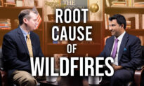 California Insider: Interview With Adam Summers on Wildfire Policy