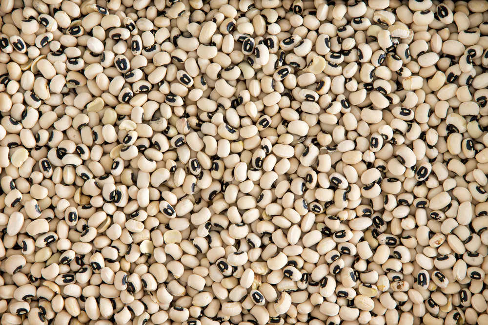 Black-eyed peas. (Shutterstock)