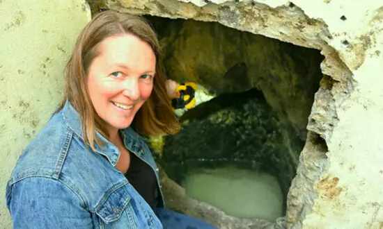 Couple Find a Secret Well Stashed With Victorian Artifacts While Renovating Home