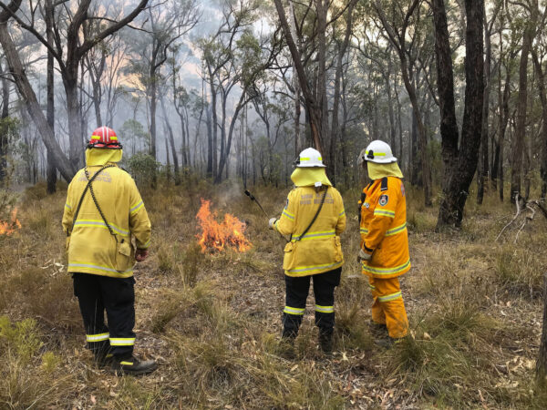 NSW Rural Fire Service observers during back burnning operations near Picton, Australia