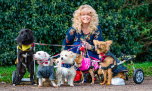 Woman Dubbed ‘Miracle Worker’ for Helping Paralyzed, Injured Dogs Walk Again