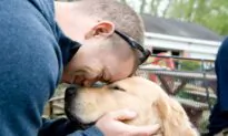 How Training These Service Dogs Helps Veterans Heal