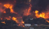 Professor Argues Private Homeownership Helps Cause California Wildfires