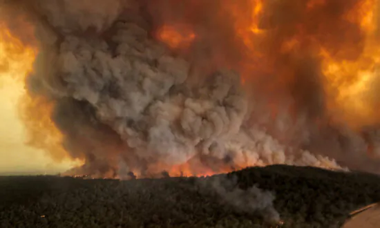 Burnt Infrastructure Still Unrepaired Post-2019 Bushfires: Opposition