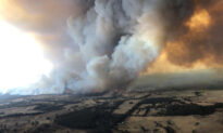 Bushfire Evacuation Ordered in Australian State of Victoria, 2 Dead