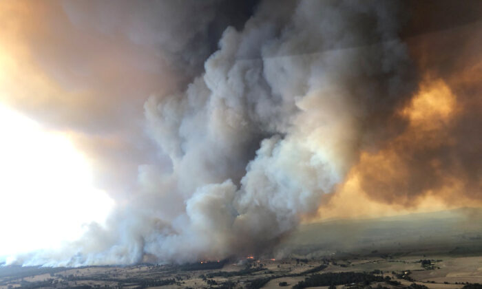 Inquiry Focuses on Impact of Australian Bushfires