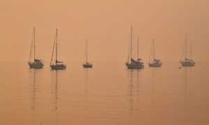 'Too Late to Leave': Bushfires out of Control Across Southeast Australia, 2 More Killed