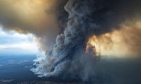 Police Take Legal Action Against More Than 180 in Australia’s Most Populous State for Alleged Bushfire-Related Offenses