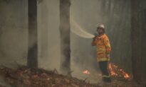 Rainfall Forecast Gives Hope to Australia’s Firefighters