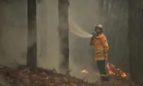 Australia’s Rainfall Forecast Gives Hope to Firefighters