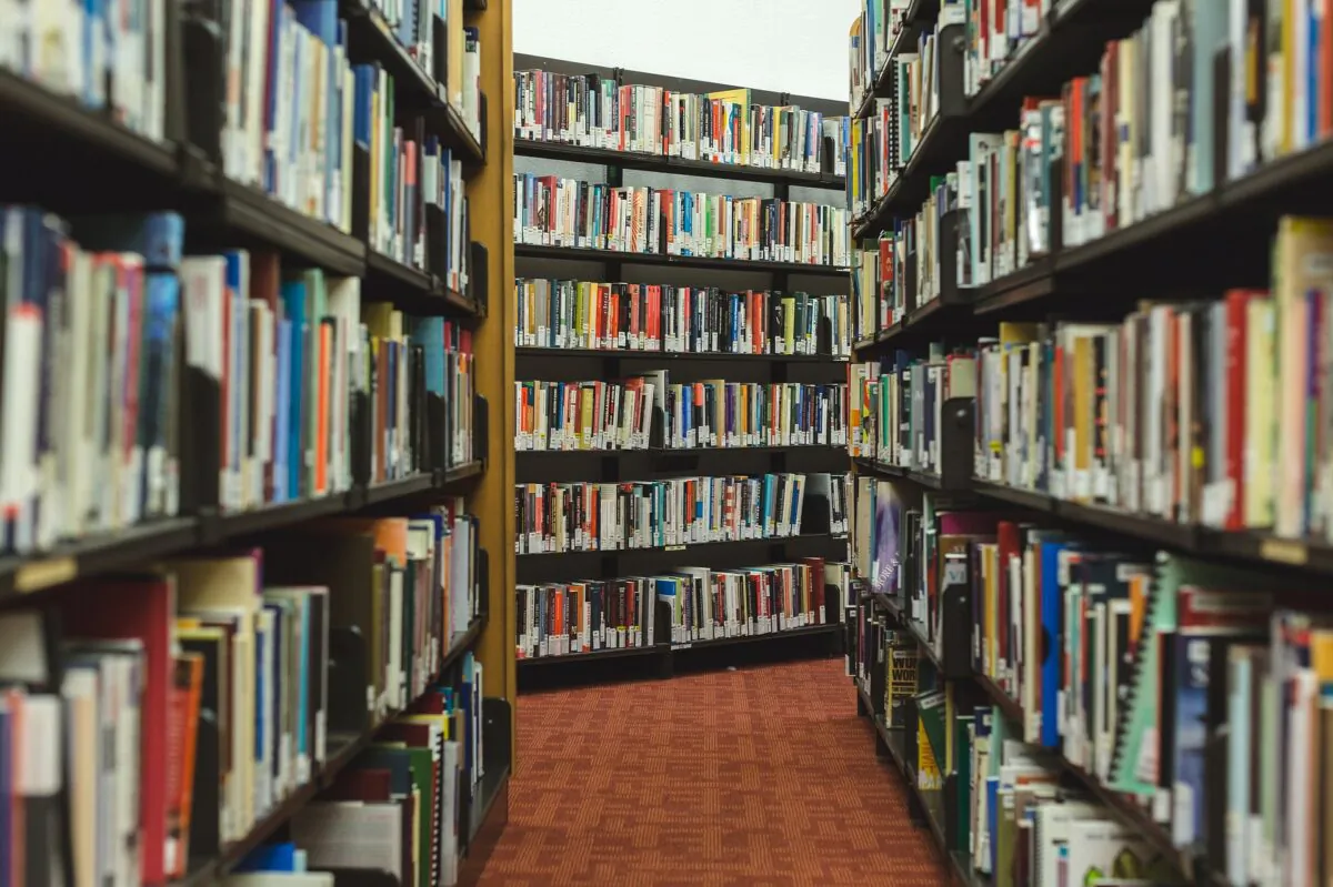 A photo illustration of a library. (StockSnap/Pixabay)