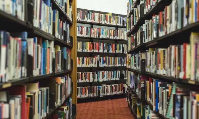 A photo illustration of a library. (StockSnap/Pixabay)
