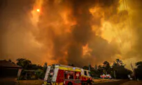 Bushfire Blazes on Sydney’s Outskirts