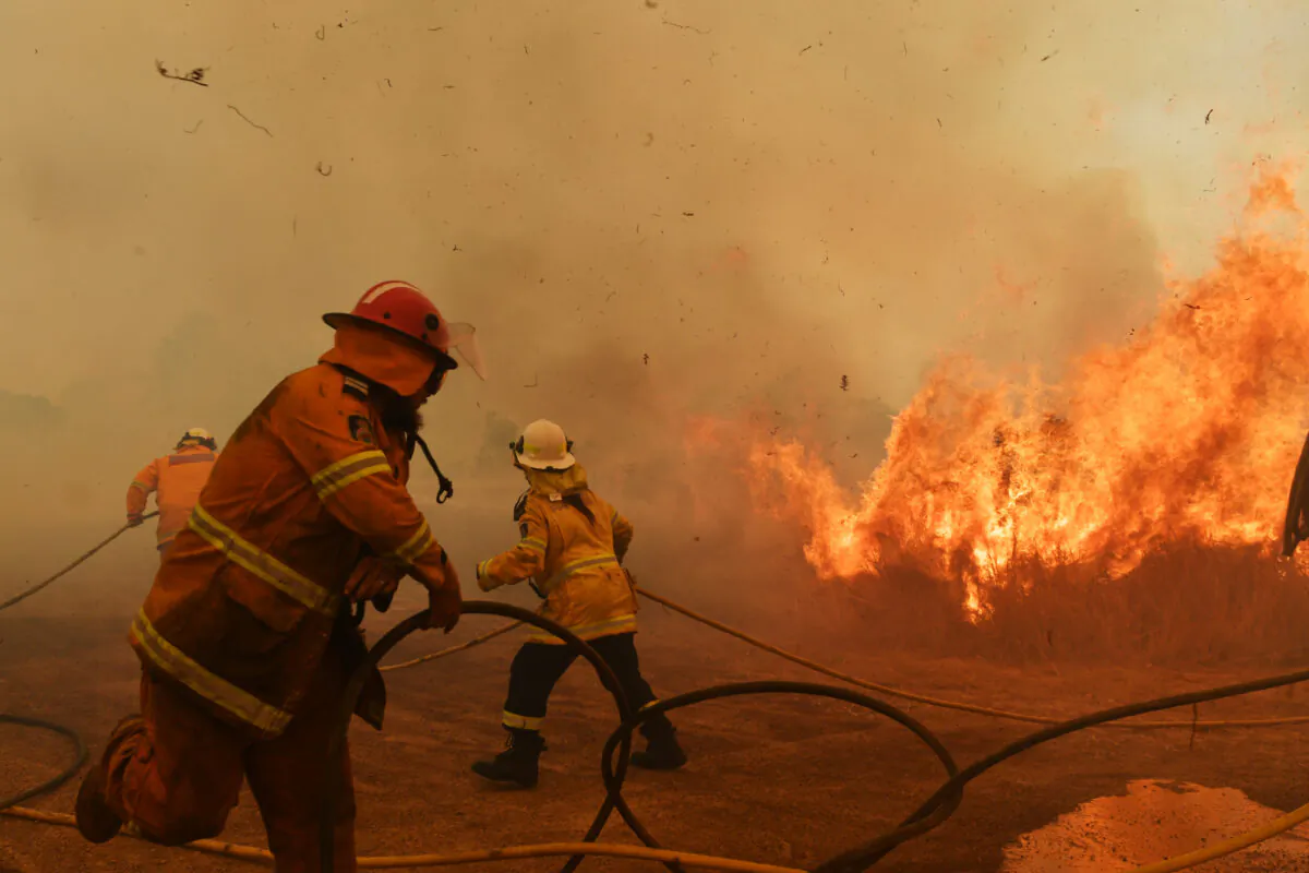 RFS Firefighters battle a spot fire on November 13, 2019 in Hillville, Australia. (Sam Mooy/Getty Images)