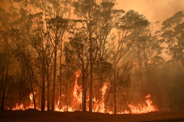 Epoch Times Photo