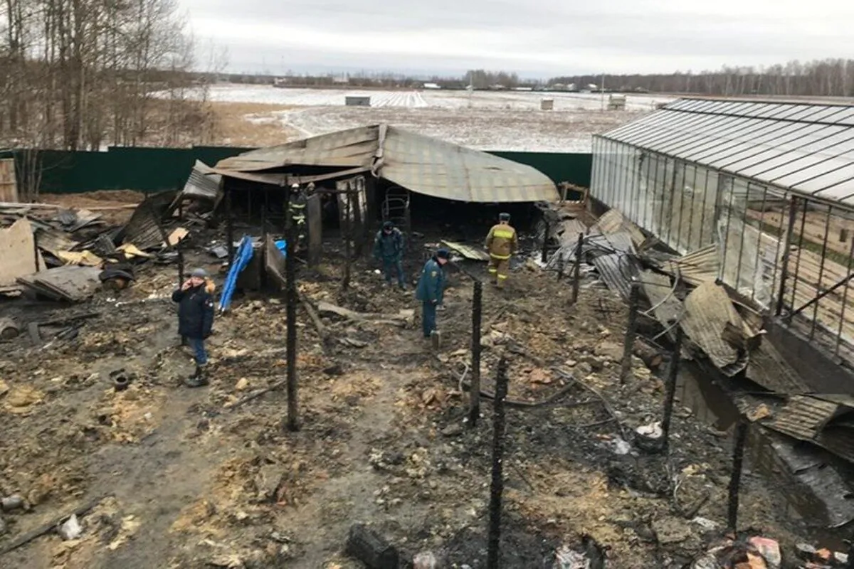 Emergency Situations employees work at the side of the metal construction of a greenhouse farm in Nesterovo, Russia, on Jan. 7, 2020. (Ministry of Emergency Situations press service via AP)