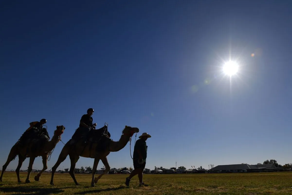 Spectators enjoy a camel ride prior to the day's Birdsville Races in the Queensland town of Birdsville on Sept. 1, 2018. The annual Birdsville races in Outback Queensland attracts thousands of people to the remote town and is a major source of tourist revenue. (Saeed Khan/AFP via Getty Images)