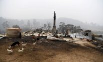 Bushfires Clean-Up Too Slow, Say Councils