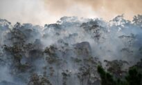 Bushfires Season Starts for 21 NSW Areas