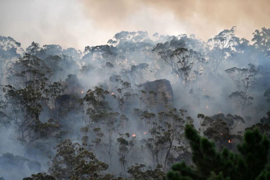 Smoke and flames from a back burn, conducted to secure residential areas from encroaching bushfires, are seen at the Spencer area in Central Coast, some 90-110 kilometres north of Sydney on Dec. 9, 2019. (SAEED KHAN/AFP via Getty Images)