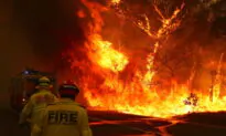 Unvaccinated Firefighters Allowed to Return to Work in NSW