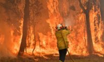 Labor Promises $200 Million a Year to Defend Against Natural Disasters