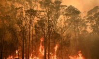 Canadian Firefighters Expect to Use Tailored Tactics to Battle Australia Blazes
