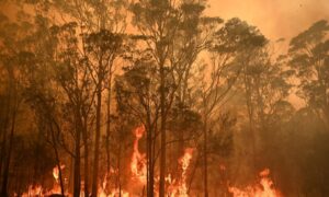 Canadian Firefighters Expect to Use Tailored Tactics to Battle Australia Blazes