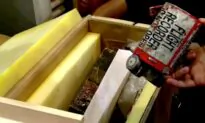 Ukraine Gets Access to Black Boxes From Iran Plane Crash