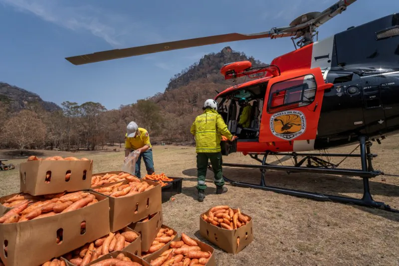 NSW's National Parks and Wildlife Service staff prepare to air-drop supplies in wildfire-stricken areas, in Newnes, Wollemi National Park, Australia, on Jan. 10, 2020. (NSW DPIE Environment, Energy and Science/Handout via Reuters)