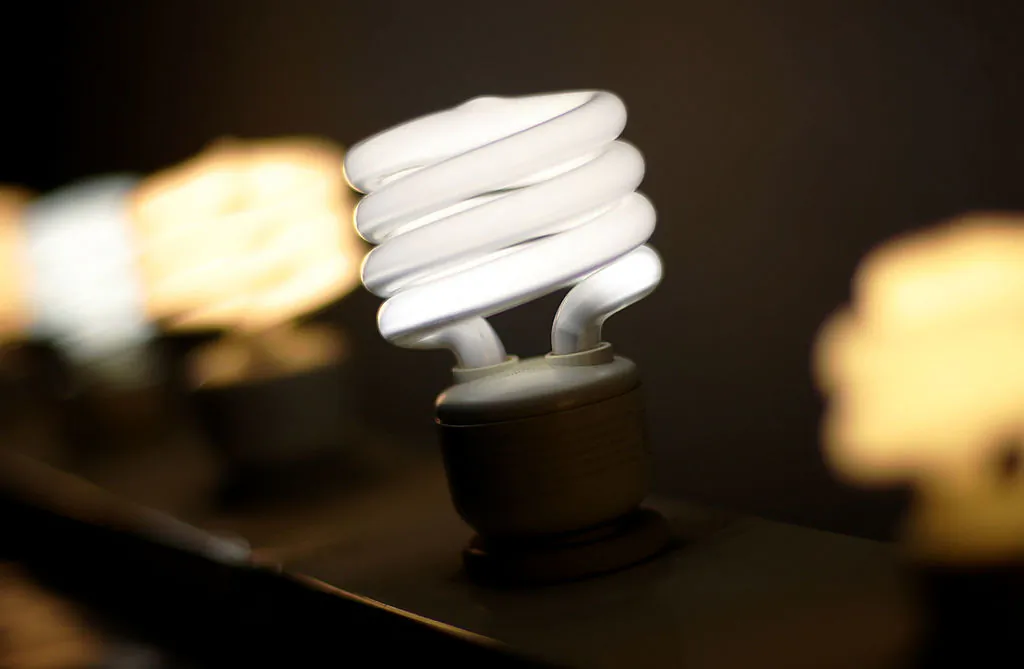 A display of compact flourescent light (CFL) bulbs is seen at the City Lights Light Bulb Store in San Francisco, Calif., on Jan. 31, 2007. (Justin Sullivan/Getty Images)