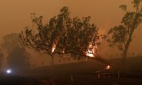 Bushfires Assistance a ‘Postcode Lottery’