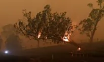 Bushfires Assistance a ‘Postcode Lottery’