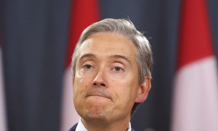 Canadian Foreign Affairs Minister Francois-Philippe Champagne holds a new conference to provide an update on the plane crash in Iran, in Ottawa on Jan. 10, 2020. (The Canadian Press/Fred Chartrand)