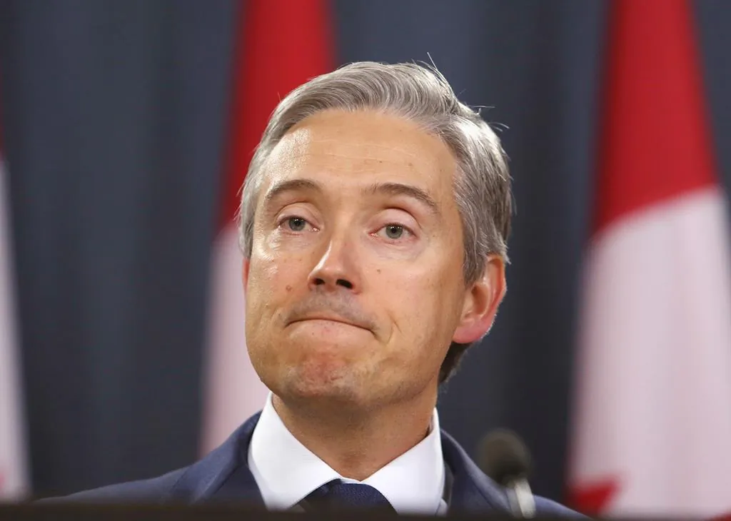 Canadian Foreign Affairs Minister Francois-Philippe Champagne holds a new conference to provide an update on the plane crash in Iran, in Ottawa on Jan. 10, 2020. (The Canadian Press/Fred Chartrand)