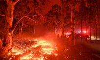 Call for Pause on Proposed Australian Bushfire Laws