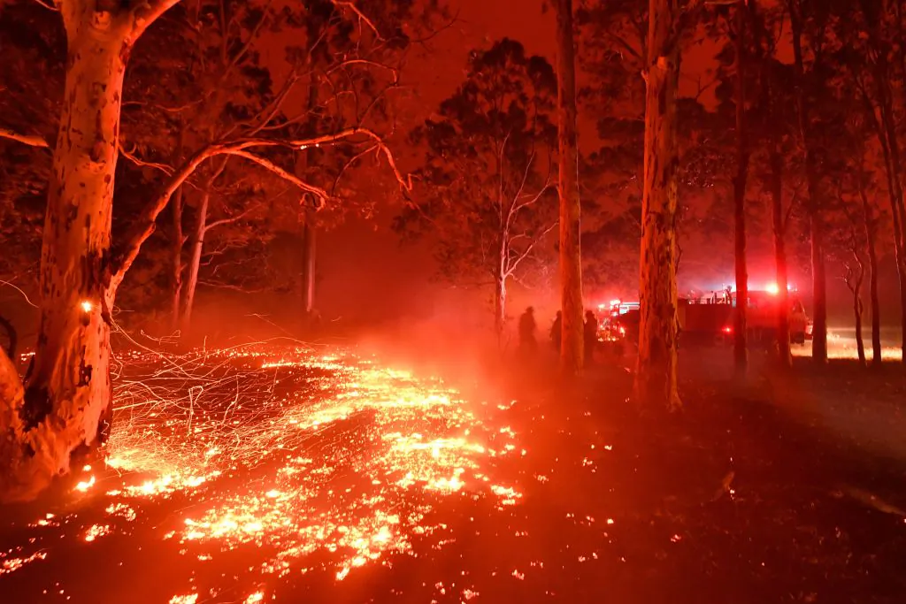 Burning embers cover the ground as firefighters battle against bushfires around the town of Nowra in the Australian state of New South Wales on Dec. 31, 2019. (SAEED KHAN/Getty Images)