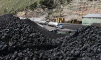 Trump Coal Boost Gains Momentum as Bids, Land Opened Up