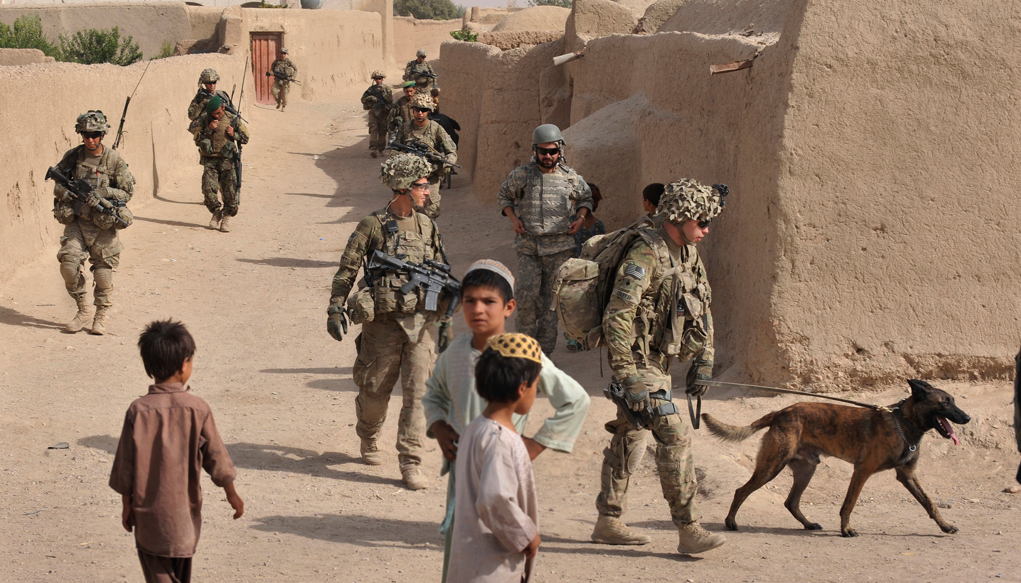 Army Ranger dog Maiko killed engaging militants in Afghanistan, saves lives of Ranger regiment