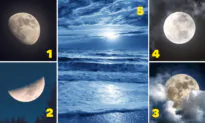 The Moon You Choose Will Reveal A lot About Your Personality