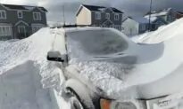 Hundreds of Troops to Help Canadian Province Recover From Huge Blizzard