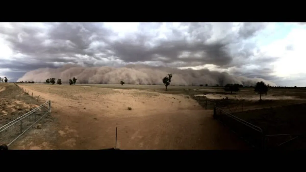 A huge dust storm sweeps across Collie in the Central West of New South Wales, Australia, on Jan. 19, 2020. (Reuters)