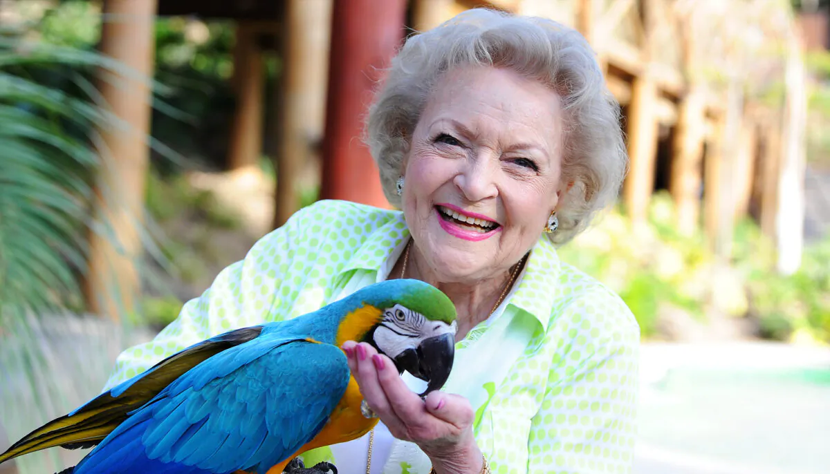 Actress Betty White attends the Greater Los Angeles Zoo Association's (GLAZA) 44th Annual Beastly Ball at Los Angeles Zoo on June 14, 2014, in Los Angeles, Calif. (Angela Weiss/Getty Images)