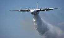 3 US Firefighters Killed as Aircraft Crashes in Australia